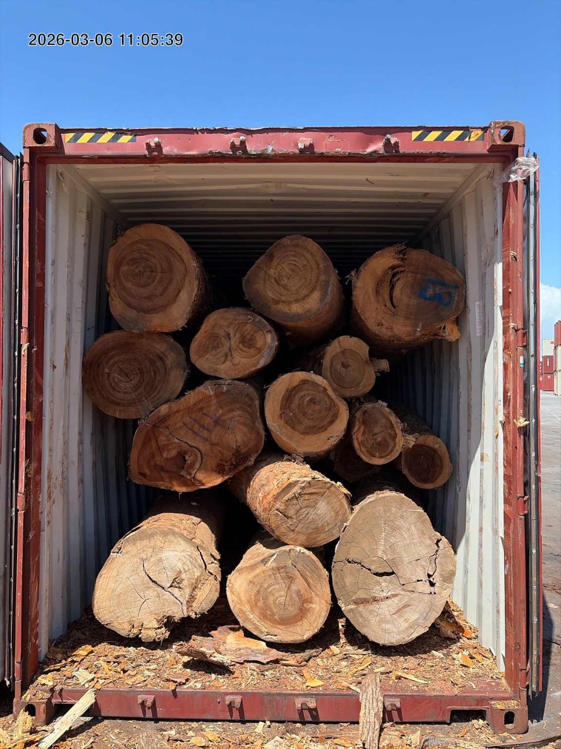 An open shipping container loaded with cut timber logs