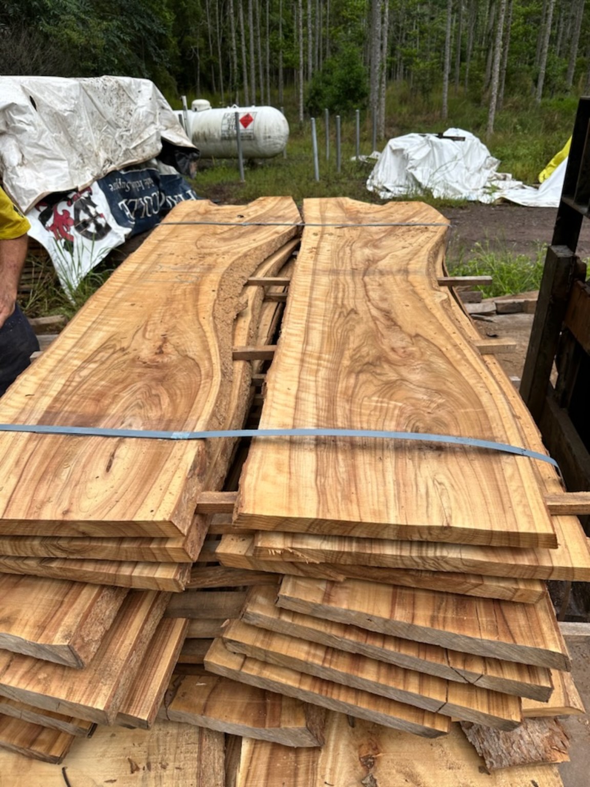 Packs of golden-brown timber slabs stacked on supports and secured with blue strapping