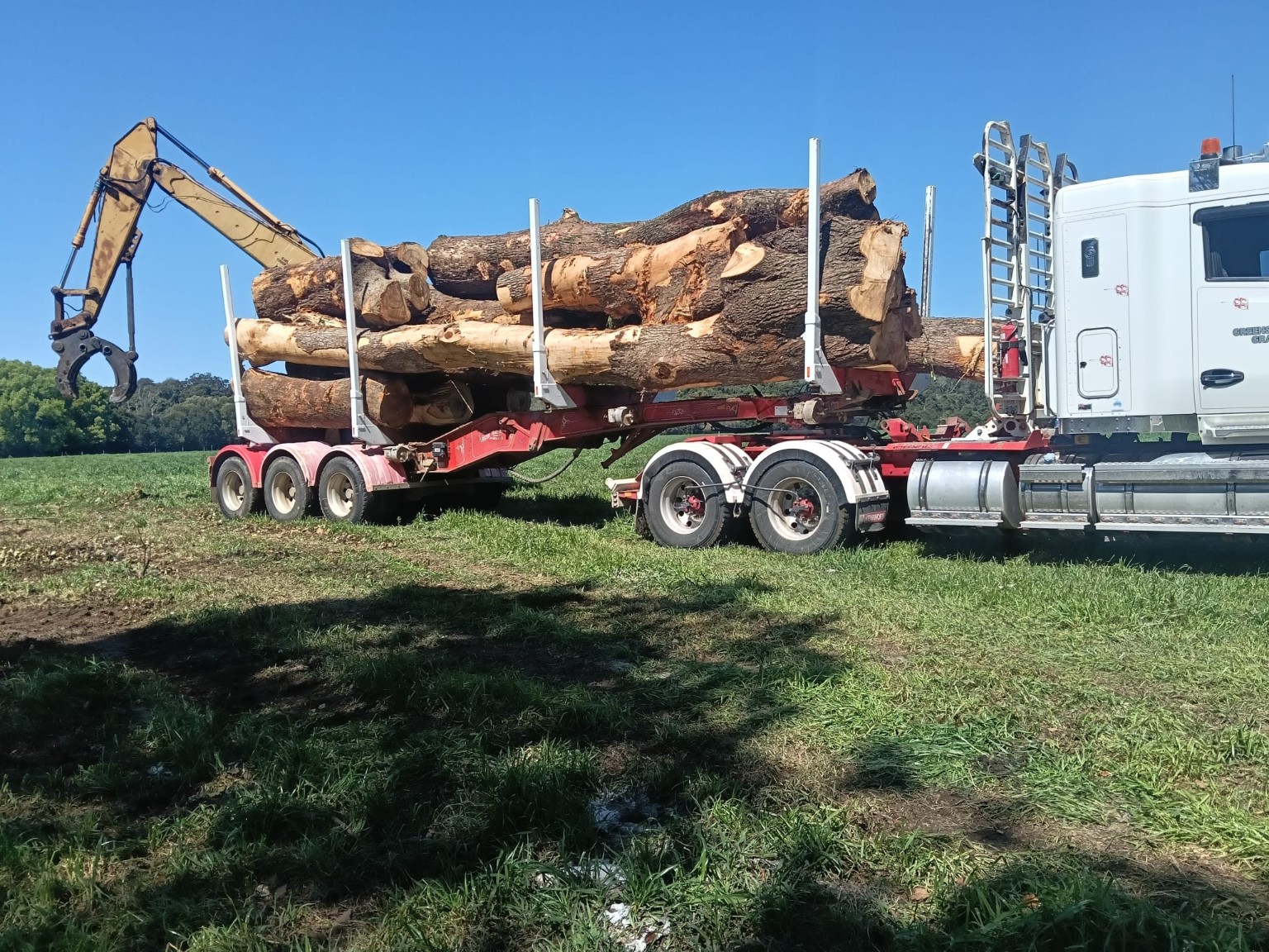 Large logs secured on a transport truck