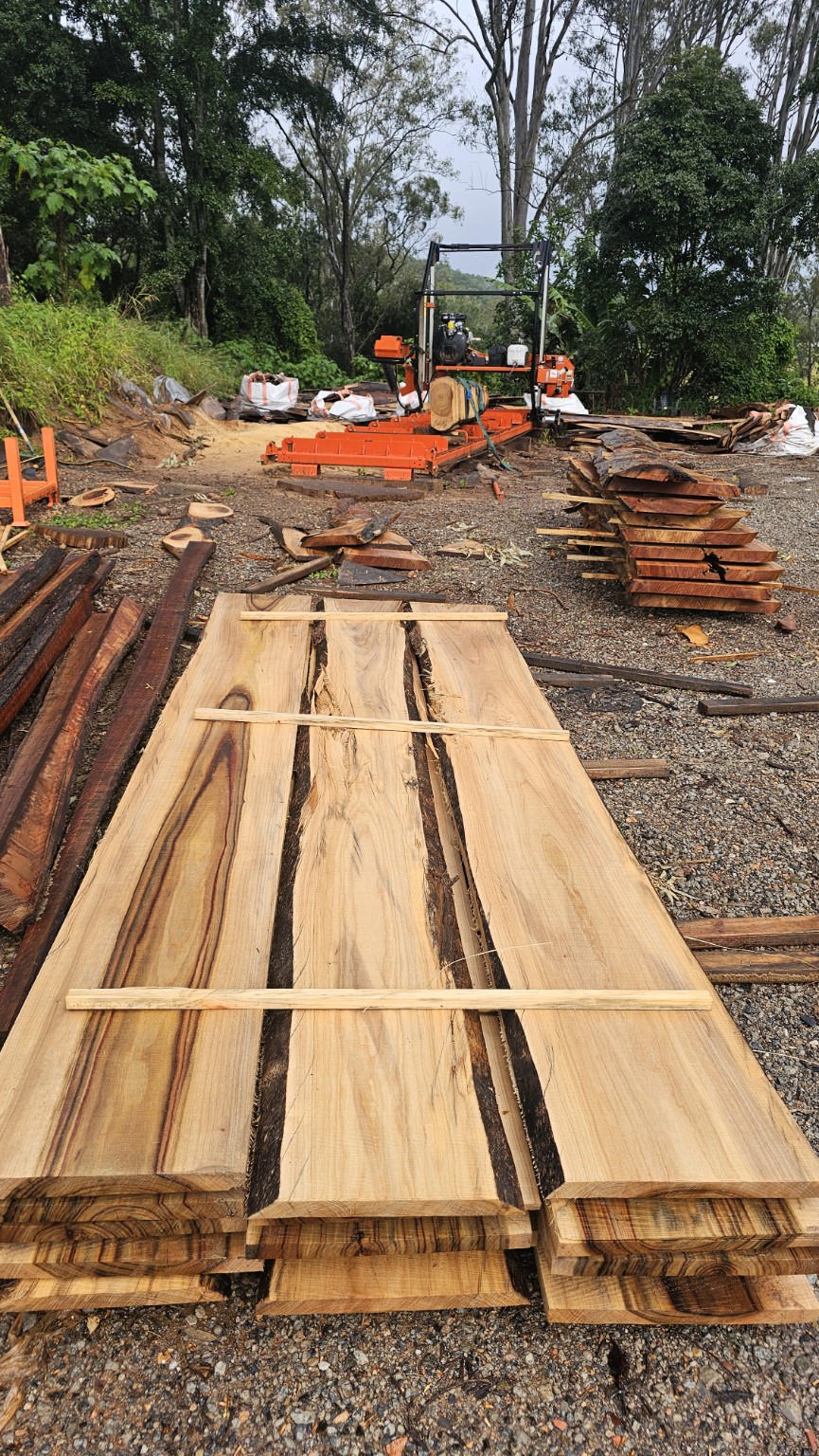 Timber slabs and sawmill in an outdoor yard